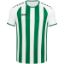 Afbeeldingen van Maillot Inter MC wit/sportgroen